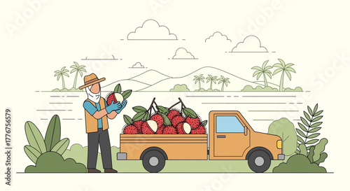 Fresh Rambutans Harvested and Transported by Farmer in Truck on a Sunny Day