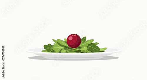 Fresh Salad With Cranberry On Plate, Healthy Food And Diet Concepts Illustration