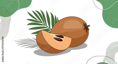 Fresh Sapodilla Illustration, Exotic Fruit with Palm Leaf, Vector Digital Artwork