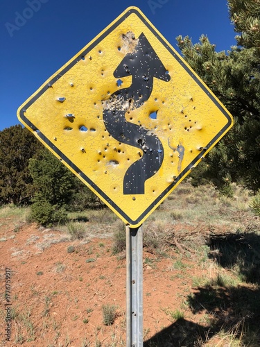 bullet holes in street sign