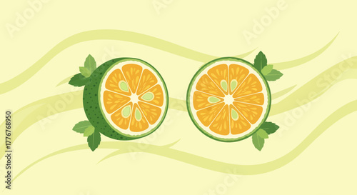 Freshly Sliced Citrus Fruit With Mint Leaves Against a Simple, Abstract Background