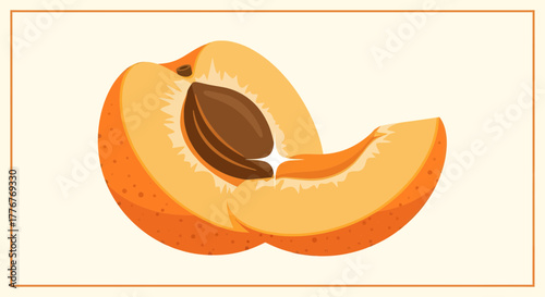 Freshly Sliced Apricot Depicted, Illustrating Juicy Flesh and Its Single Pit Distinctively