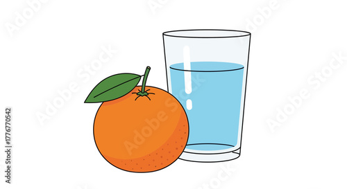Freshness Of Orange And Drink Of Water Depicted In Vivid Flat Vector Illustration