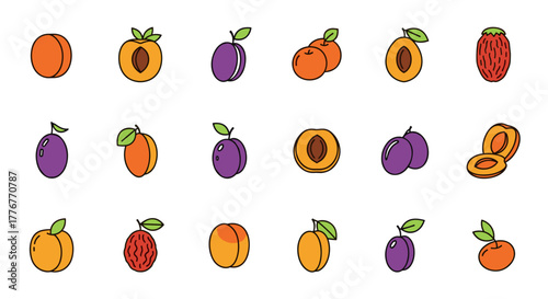 Collection of colorful plum and apricot illustrations