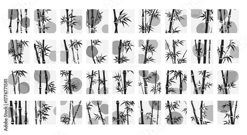 Collection of bamboo illustrations in black and white