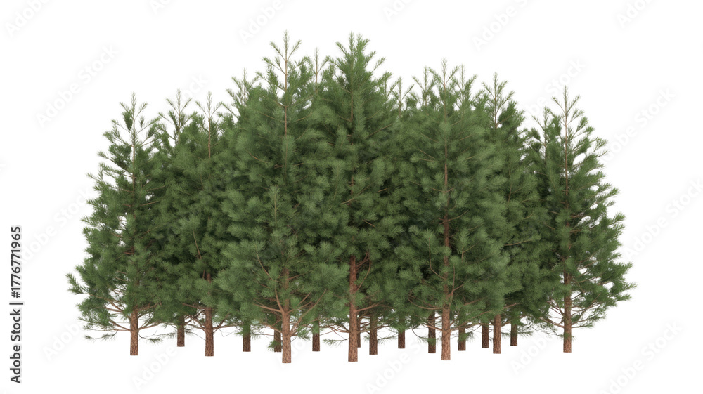 Fototapeta premium A vibrant cluster of green pine trees with a crisp white outline, digitally rendered on a solid dark transparent background. background removed
