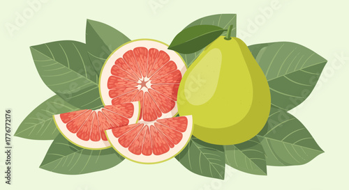 Healthy And Fresh Grapefruit And Citrus With Lush Greenery Displayed Beautifully
