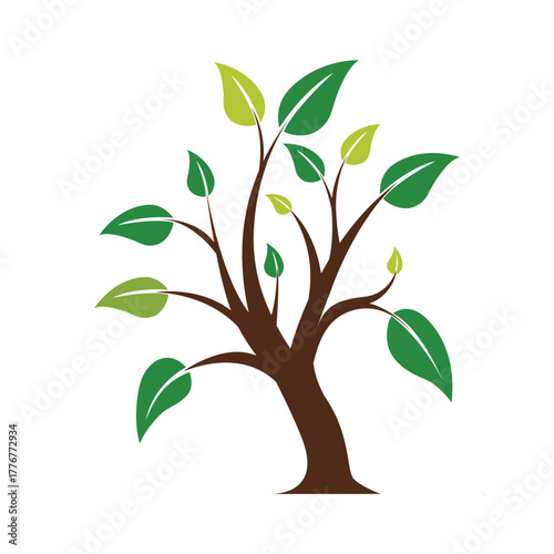 Tree Leaf Green Nature Vector Design