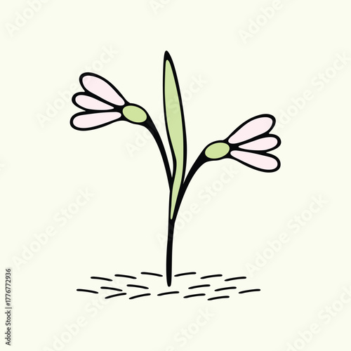 Hand Drawn Snowdrop Flower Illustration