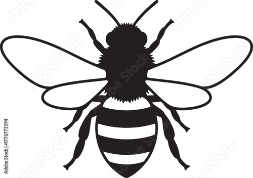 wasp isolated on transparent background