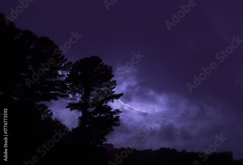 Billede på lærred Bolt of lightning from behind the trees at night