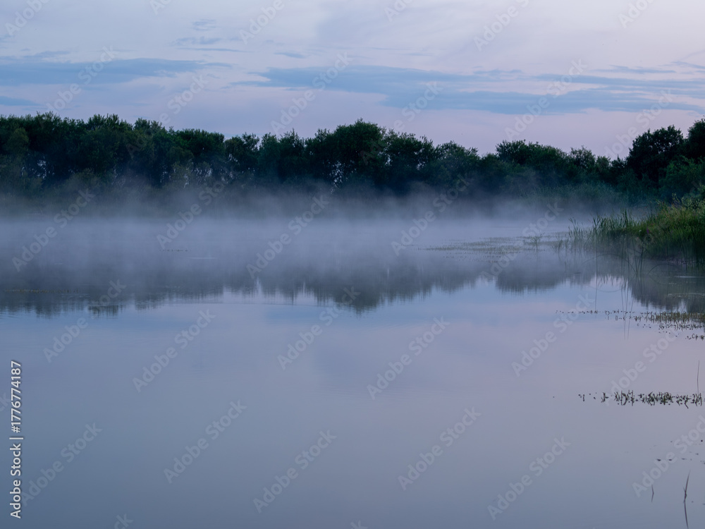 Fototapeta premium Misty lake at dusk or dawn with calm water and soft blue light. Gentle fog rising above the surface creates a peaceful and tranquil atmosphere in nature.