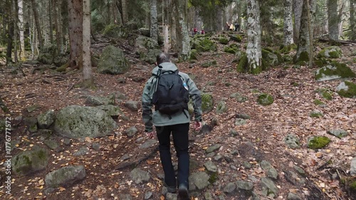 A person walks along a rocky trail surrounded by tall trees. The ground is covered in leaves, showcasing the autumn colors. It is a quiet and peaceful moment in nature.