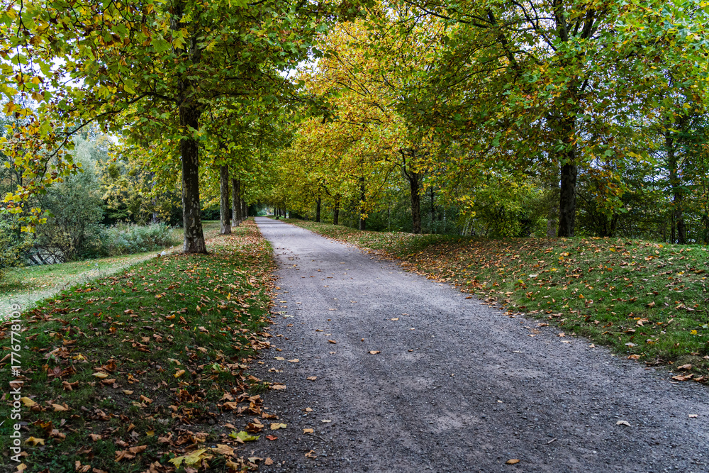 Fototapeta premium La promenade aux feuilles tombées- au parc à Strasbourg France