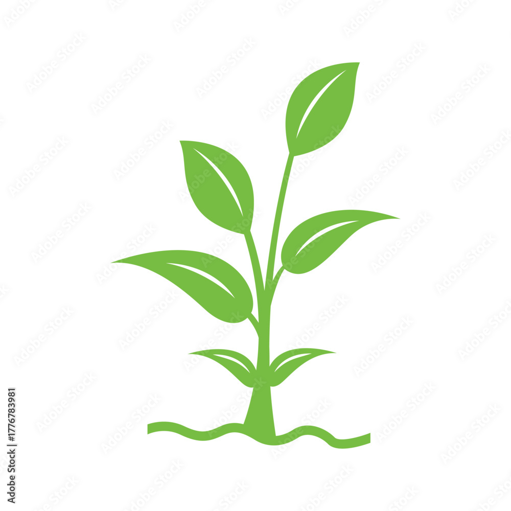 Fototapeta premium Natural Green Tree Vector Illustration