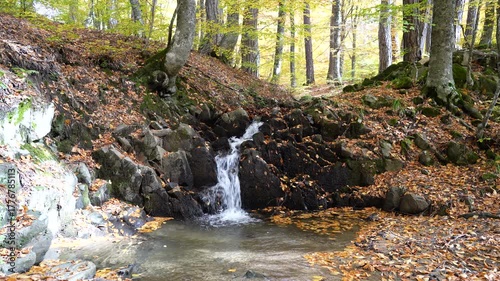 Small waterfall in autumn forest