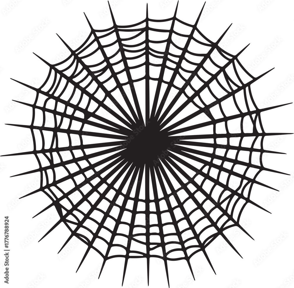 Fototapeta premium Black and white circular spider web graphic with radial spokes and concentric rings arachnid insect on transparent background