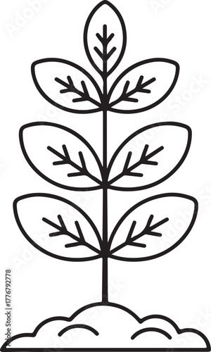 Simple black line drawing of a young plant sprouting from the ground