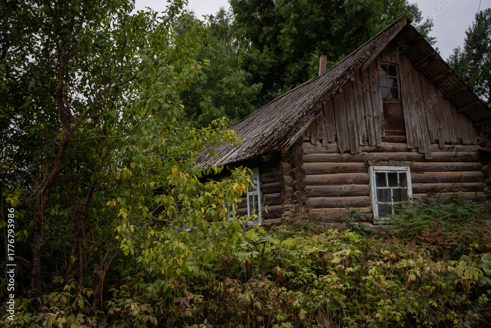 Fototapeta premium Rustic Log Cabin Surrounded by Dense Foliage