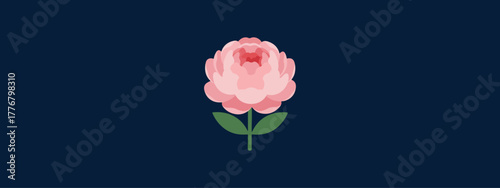 Piones flower vector graphic illustration design. Download it now in high resolution format and print it in any size