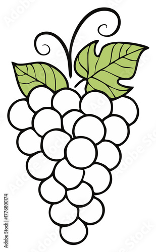 Stylized bunch of grapes with green leaves and vine tendrils vector illustration
