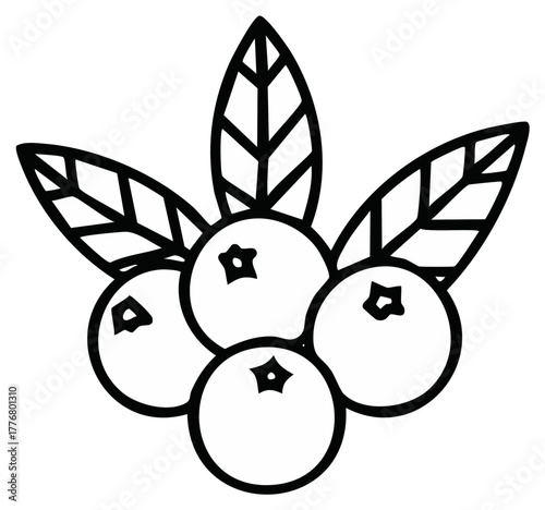 Berry cluster line art illustration of blueberries with leaves. Vector illustration