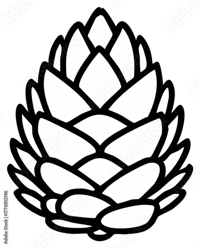 Pinecone graphic contour, isolated. Nature inspired drawing of pinecone in black outline.