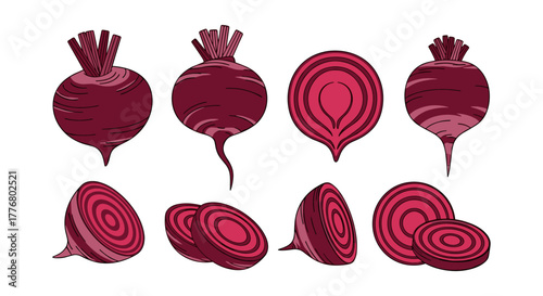 Fresh beetroot set featuring sliced and whole beets in hand drawn style
