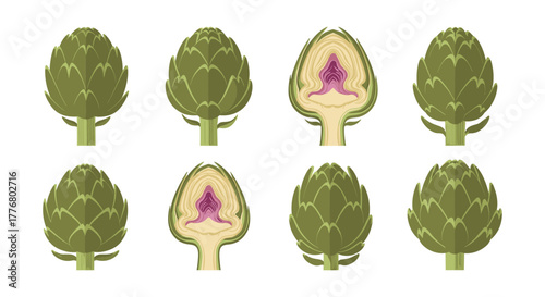 Artichoke pattern collection with detailed cross section and full view on white background