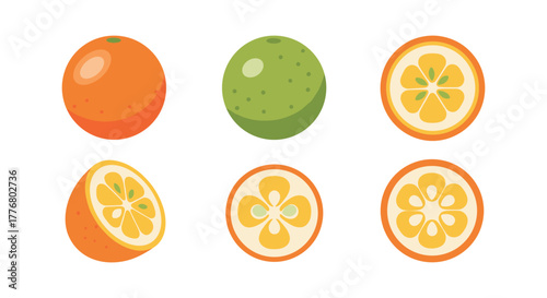 Colorful citrus fruits icons set with orange and lime cross-sections