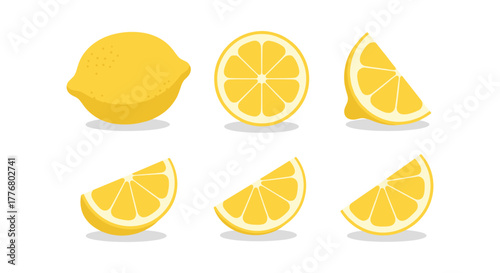 Fresh lemon slices and whole lemon in colorful flat style