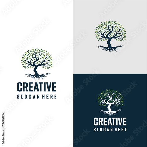 The logo of a very lush and sturdy tree, depicts strength