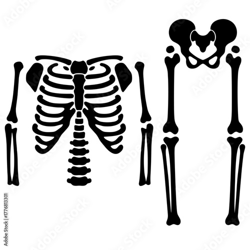 Fantasia de esqueleto