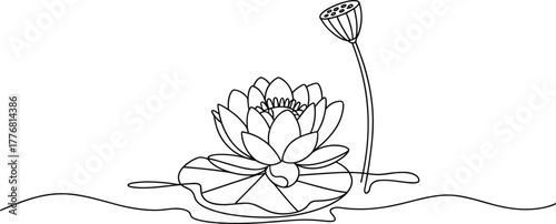 Single line drawing of a lotus flower and seed pod