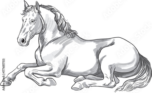 A horse on vacation. Vector sketch of a reclining horse, front view. A black-and-white outline with shading. The symbol of the year. A horse on vacation.