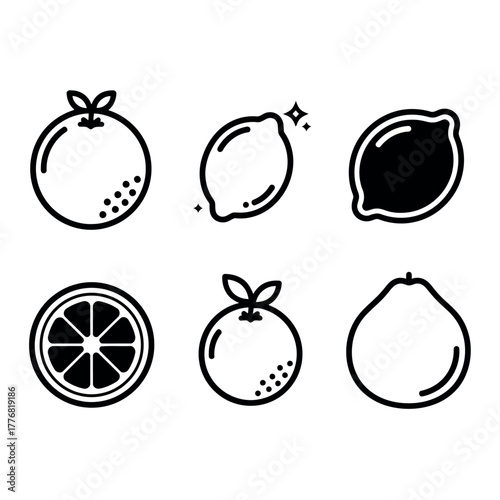 Citrus fruit icon set Vector