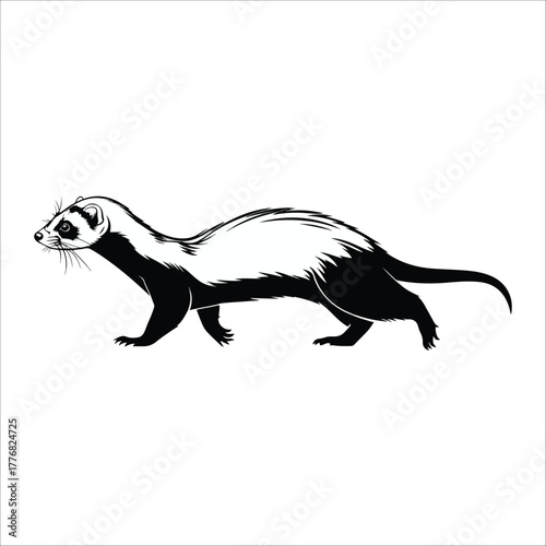  ferret silhouette vector illustration icon on white background
