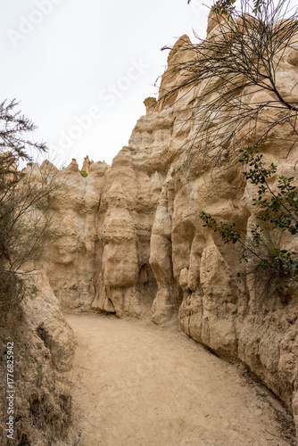Orgues d'Ille sur Tet