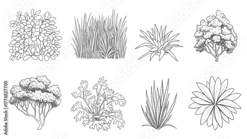 set of shrubs line cad, minimal isolated on white background. Ground cover. Illustration for elevation architectural element, side view, grass section. Turf coating banners for edging