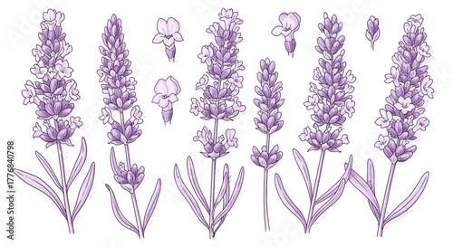 Modern abstract geometric banner design with dynamic curves and sharp angles for advertising and promotions