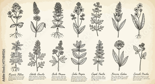 Vibrant rgb banner advertisement design with abstract geometric shapes and flowing lines for promotional use