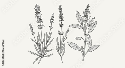 Modern abstract geometric banner design with subtle curves and dynamic shapes in rgb color