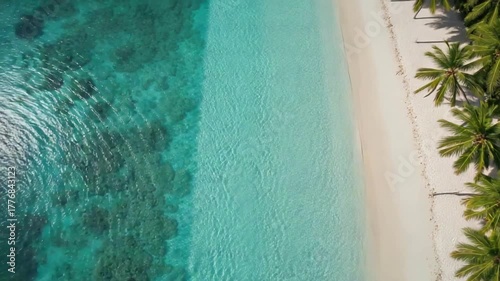 Aerial view captures pristine beach, where crystal-clear turquoise waters kiss the sandy shore, framed by lush palm trees.