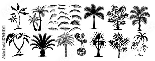 Set of palm tree silhouettes and palm leaves. Hand drawn. Not AI, vector illustration.