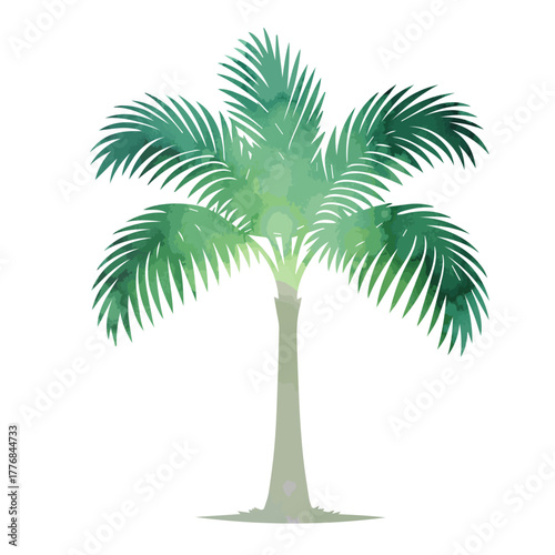 Watercolor palm tree object. Hand drawn. Not AI, vector illustration.
