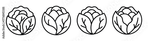 Illustration of four cabbage sprouts vector art, cabbage seedling drawing, cabbage outline design, vector