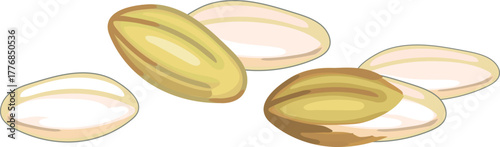 Rice grains in hull and milled rice grains on white background 