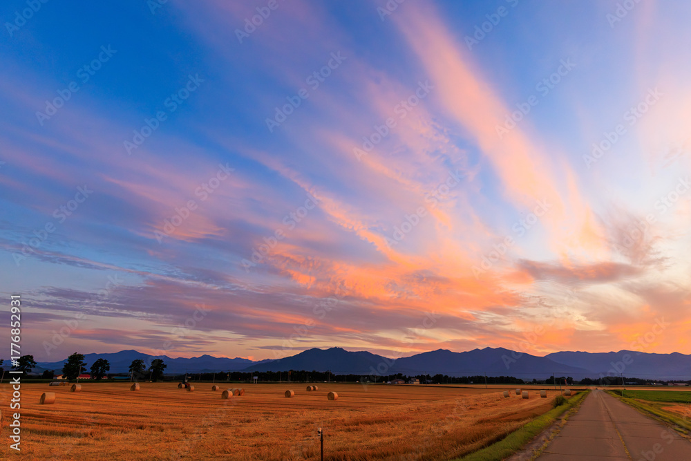 Fototapeta premium 夕焼け 