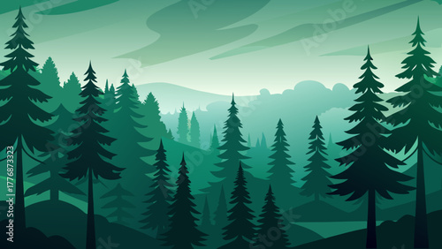 forest in the mountains