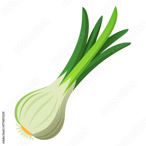 onion isolated on white background